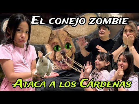 MY RABBIT TURNS INTO A ZOMBIE