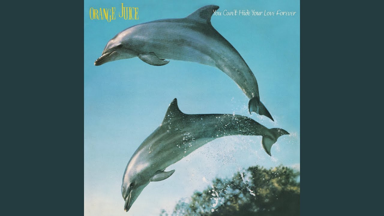 Orange Juice - In a Nutshell