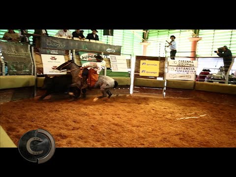 4º Lugar Fêmeas - Classificatória de Itu/SP 2017.