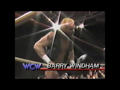 El Gigante vs Barry Windham   Pro Feb 16th, 1991