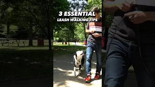 3 *Important* Leash Strolling Suggestions. You Must See This! #dogtraining #dogtrainer #leashwalking
