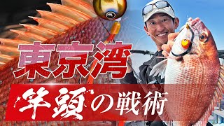 【タイラバ】東京湾で魅せた竿頭の妙技！アウェイを制する戦術 / 田邊義雄