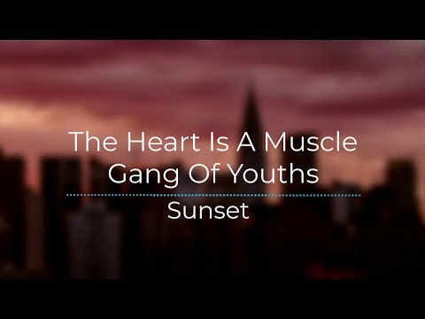 The Heart Is A Muscle - Gang Of Youths (Legendado/Tradução)