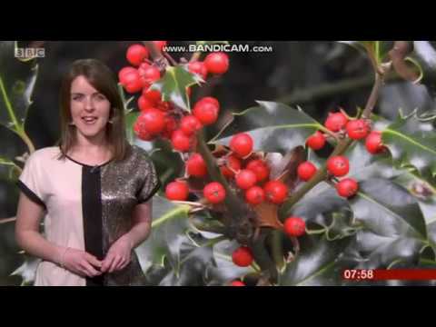 Alex Osbourne BBC South Today weather December 21st 2018 - 60 fps