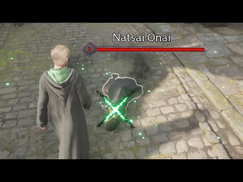 What if you Use Avada Kedavra on Your Companion During a Quest? - Hogwarts Legacy