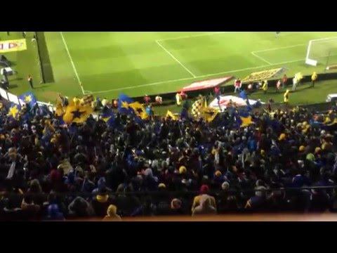 "El ser de Tigres" Barra: Libres y Lokos &bull; Club: Tigres