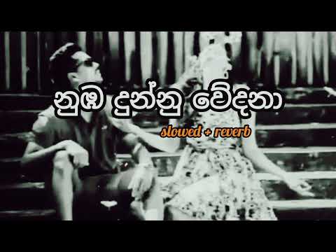 Nuba Dunnu Wedana(නුඹ දුන්නු වේදනා)-(slowed+Reverb)