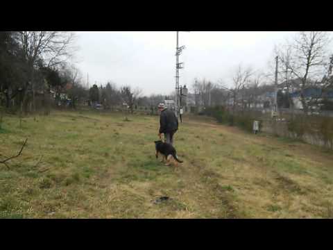 Vidra Bogancs 2015.12.15.