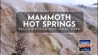 preview picture of video 'Yellowstone, WY: Mammoth Hot Springs'