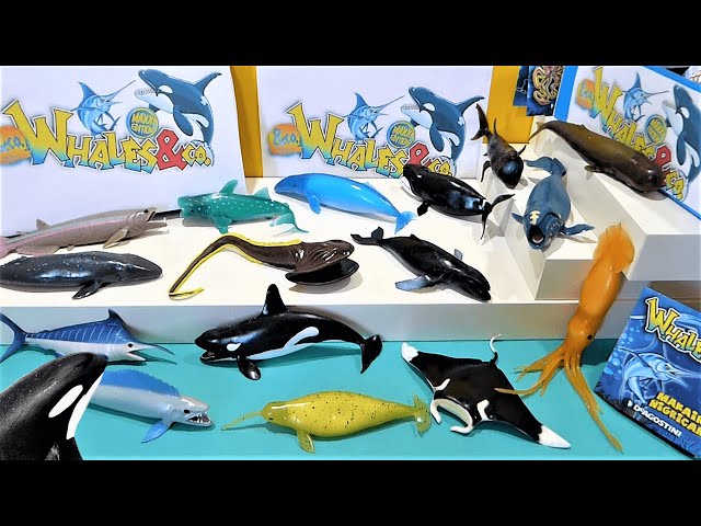 Vídeo relacionado con Zappi Co Peluche para niños Orca Ballena Juguete de Felpa (20-22 cm) Colección de Animales Safari Peluche Recién Nacido Primer niño
