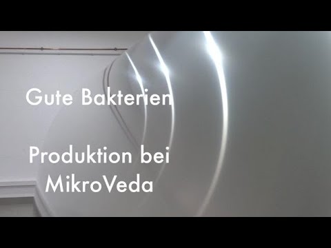 Produktion der Produkte mit Mikroorganismen bei MikroVeda