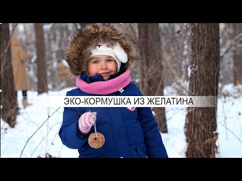 Эко-кормушка для птиц из желатина| Сделай сам своими руками (влог)