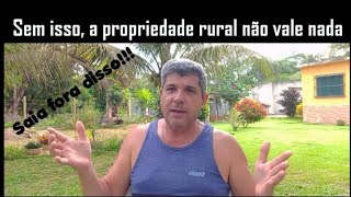 Sem isso uma propriedade rural não vale nada       #pomar #plantas #sítio #fazenda #plantacao