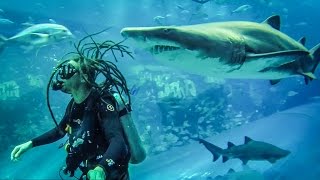 SHARK AQUARIUM SCUBA DIVE!