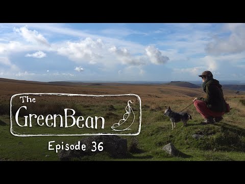 The Green Bean Podcast Episode 36