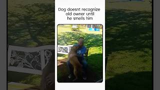 Dog sees old owner after a long time!