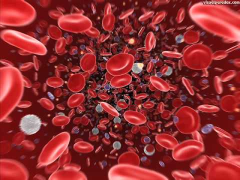 Cyklones  From Human Blood