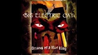 Big Electric Cat - Paris Skyes