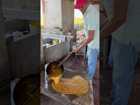 FAZENDO ALFINIM NA MOAGEM DO SITIO MALHADA ACOPIARA CEARÁ