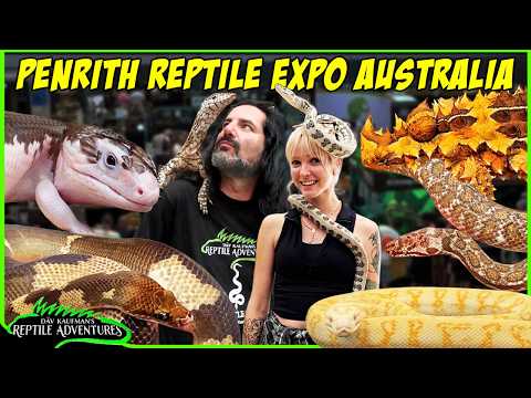 Australian Reptiles - Penrith Reptile Expo 2026
