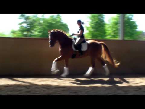 Wallach von Floriscount