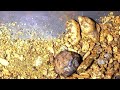 5 AMAZING VIDEOS OF GOLD DISCOVERY,.!! GOLD FINDING, GOLD RUSH, TRADITIONAL GOLD MINING