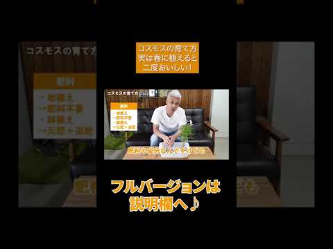 コスモス シーズン 1 1999について詳しく解説