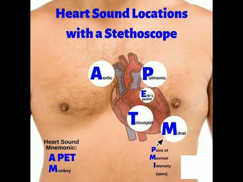 Heart sound location with stethoscope #shortsfeed #doctor #short #shortsvideo
