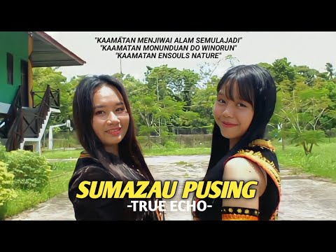 SUMAZAU PUSING [VIDEO COVER] | TRUE ECHO