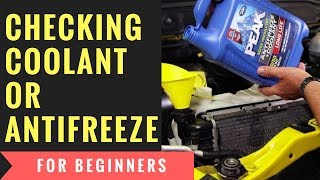 Checking coolant or antifreeze for beginners