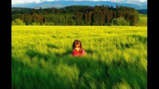 Turin Brakes // Forever