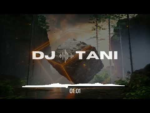 Simon Riemann, dj tani & Booty Leak - Need Some Space [Official Visualizer]
