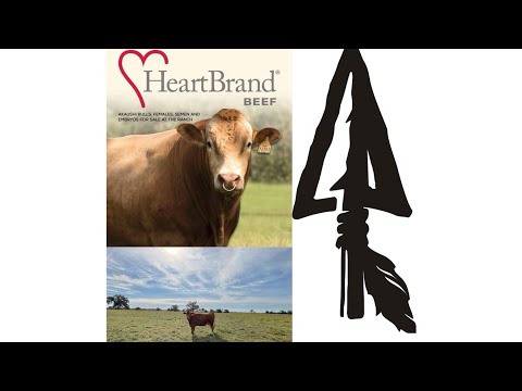 Meeting with Heartbrand Beef in south Texas about...