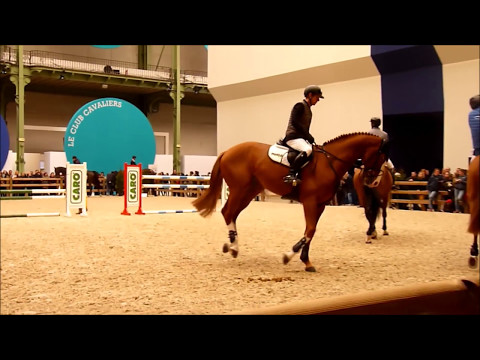 Marcus Ehning, Funky Fred, training, paddock, Saut Hermès 2016