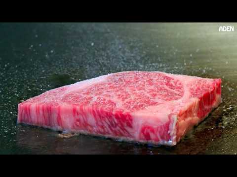 MrBallen's Rare Kobe Beef in Tokyo - Japanese Food Teppanyaki