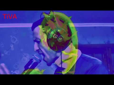 DAN TiVA - Папоротник (Ольга Арефьева Live Looping Cover)