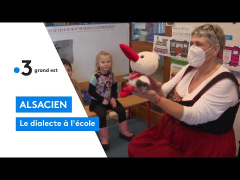 L’alsacien à l’école : la mission des chargés de promotion du dialecte à Saint-Louis Agglomération
