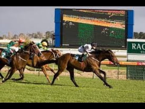 2005 MRC Dubai Racing Club Cup