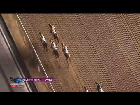 28.03.2015 Meydan (Dubai/UAE) 6.Race Dubai Golden Shaheen - Group I 1.200 m
