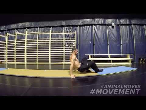 Movement - Faultier & Nunchaks