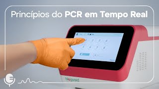 Princípios do PCR em tempo real | Vet2Vet #002