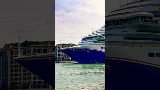 Carnival Magic 🛳️⚓️🛟 #subscribe #cruiseship #shortvideo #cruise #like #vacation #share #shorts #yt
