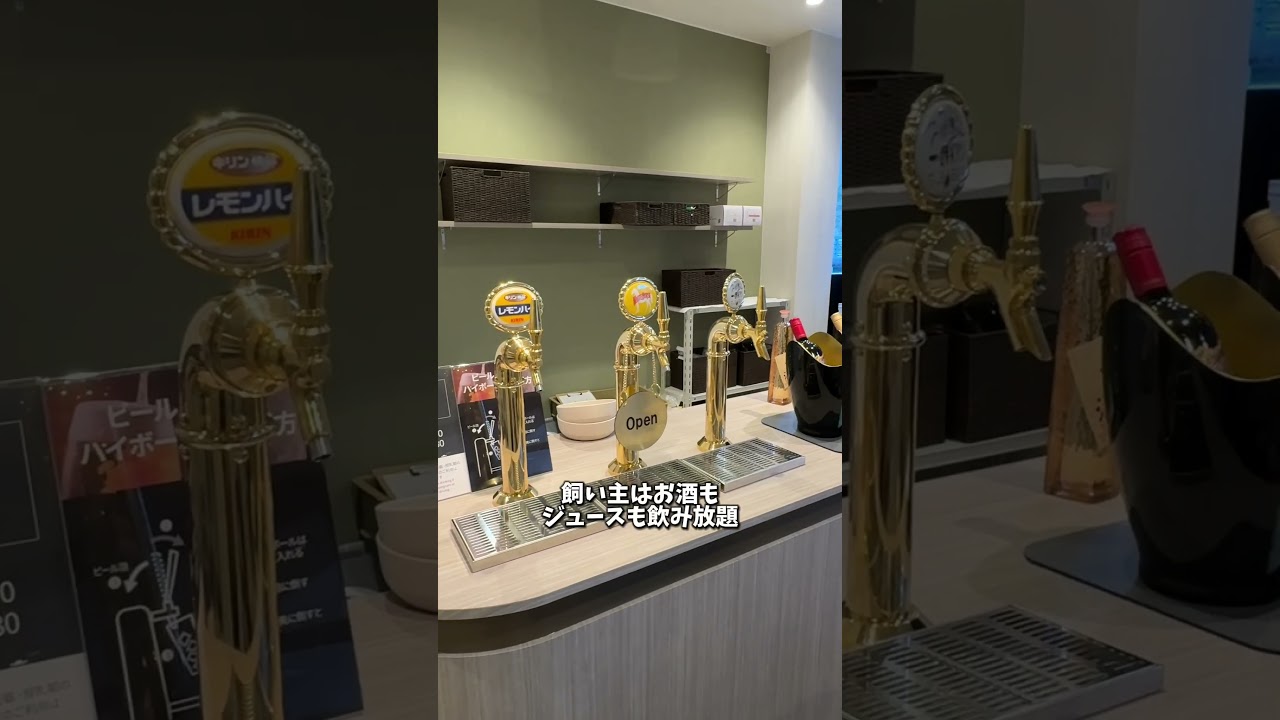 NEW OPENの犬と泊まれる温泉宿が天国すぎた