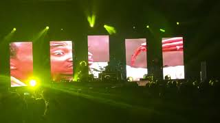 Primus - “HOINFODAMAN” Live @ Pier Six 6/2/18