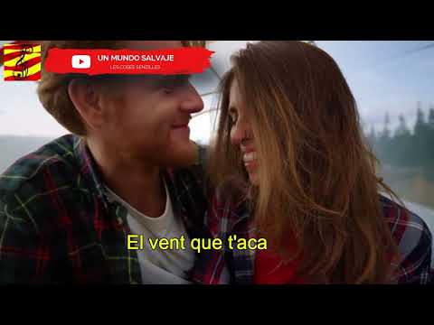 Un Mundo Salvaje - Les coses senzilles (subtítols i lletra en català)