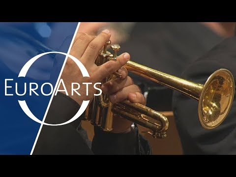 Venezuelan Brass Ensemble: Zequinha Abreu - Tico Tico (2007)