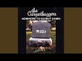 Carpetbaggers