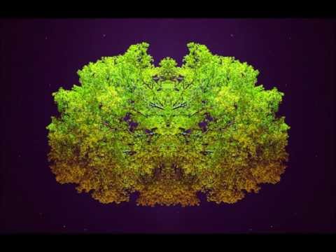 Aepiel - Shallow Ground