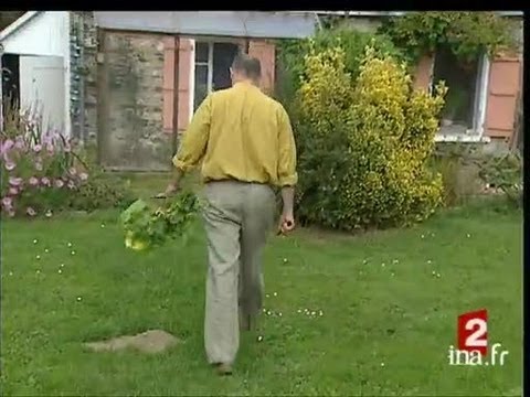 Image de prévisualisation YouTube