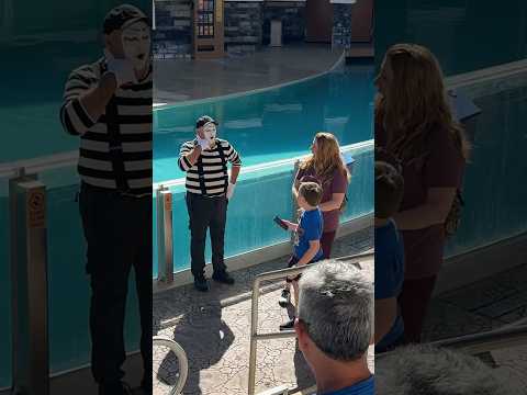 Best dance at end 😂👏 Hilarious Tom mime Seaworld #seaworldmime #funny #comedy